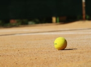 开云棋牌官方-美国网球队力克日本网球队，德约科维奇打破历史纪录